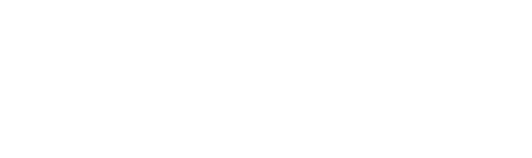 Logo XinabiCell
